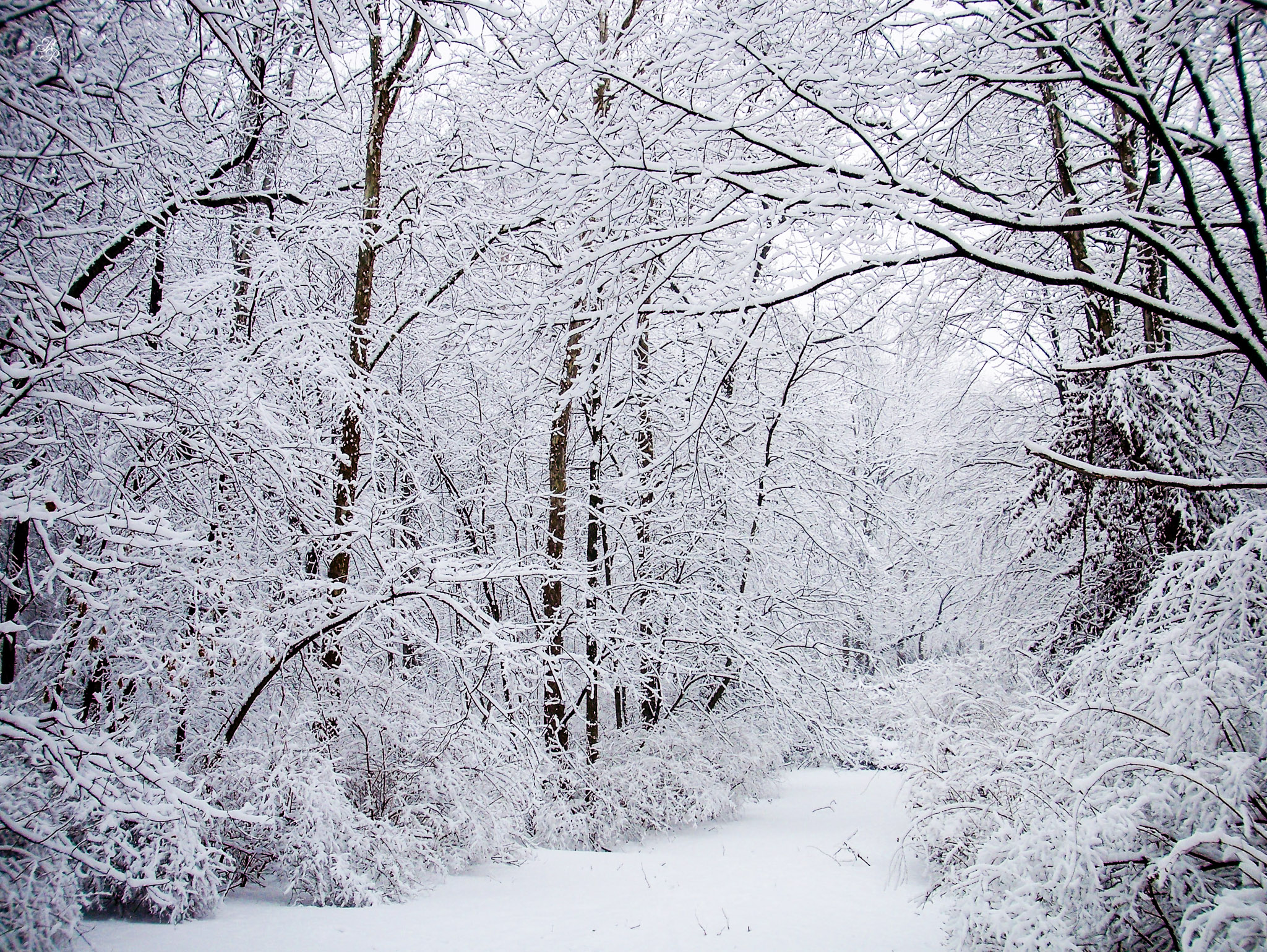 10 Must Do's Before A Mega Storm in Bucks County Paul Rosso